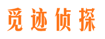 镇赉市私家侦探